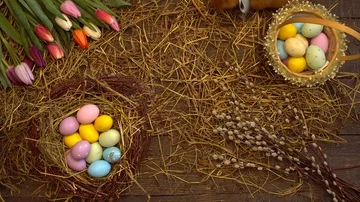 Fluffy rabbit easter celebration traditional symbol concept top view lying near Stock Footage 85534054