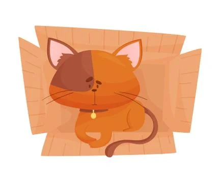 Fluffy Red Colored Cat Sitting Inside Carton Box Vector Illustration Illustrazione stock