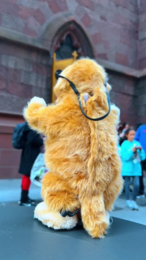 Fluffy red toy cat dancing outdoors. Rear view. Tourist entertainment in the Stock Footage 328722164