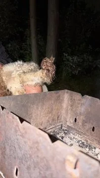 Fluffy small dog sitting on a lap next to a rusty metal charcoal grill outdoors Stock Photos