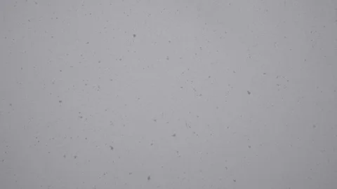 Fluffy snow is falling in winter cloudy weather Stock Footage 104915189