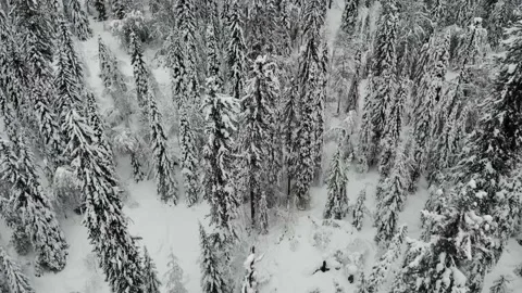 Fluffy snow Stock Footage 232825072