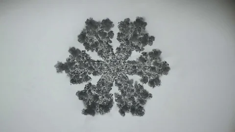 Fluffy snowflake melts under the microscope Stock Footage 75811704