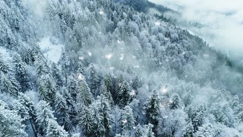 Fluffy snowflakes slowly fall on tree branches. Aerial slow motion view of mixed Stock-Footage 143925245