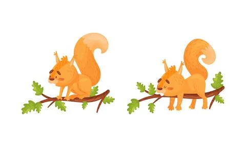 Fluffy Squirrel Character Sitting and Sleeping on Tree Branch Vector Set イラスト素材