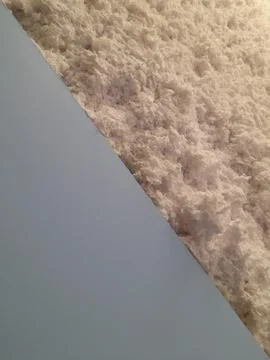 Fluffy surface. Flake surface. Fluffy cereal background Foto stock