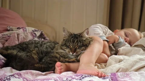 Fluffy tabby cat lying down at the baby feet. Cat sleeping with Child together Stock Footage 205481461
