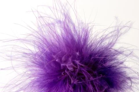 Fluffy violet feathers on white studio background Stock Photos