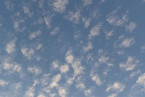 Fluffy white altocumulus clouds drift slowly across a vibrant clear blue sk.. Photos