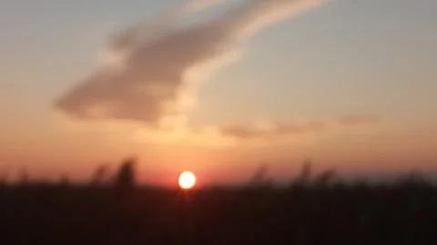 Fluffy white cloud in the setting sun shaped like a rabbit jumping over the Photos