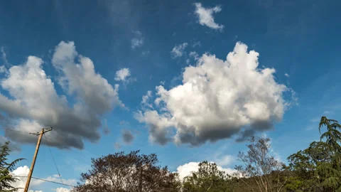 Fluffy White Clouds above Forest with Utility Pole Time Lapse Stock Footage 278463779