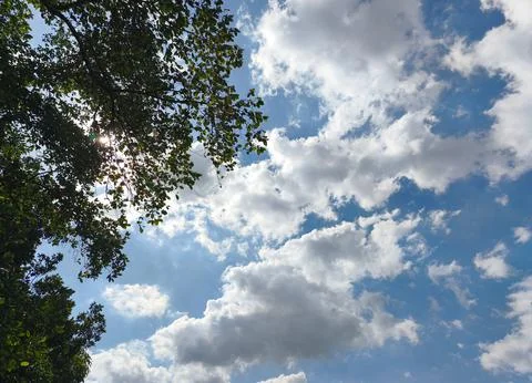 Fluffy white clouds and blue sky with green tree branches Stock Photos