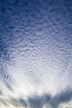 Fluffy white clouds in the blue sky. Mackerel sky. Foto stock