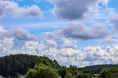 Fluffy white clouds drift across a bright blue sky over a dense green forest Stockfoto's