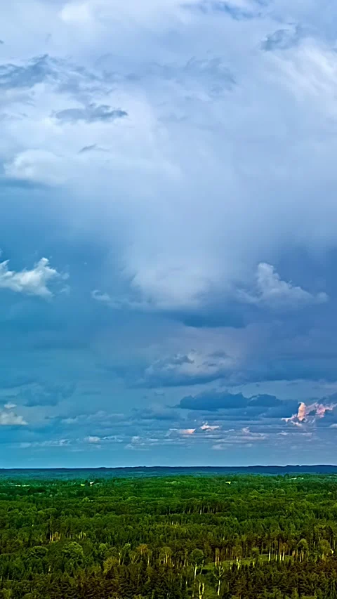 Fluffy White Clouds Drift Over Green Forest Horizon Vertical Timelapse Stock Footage 343008773