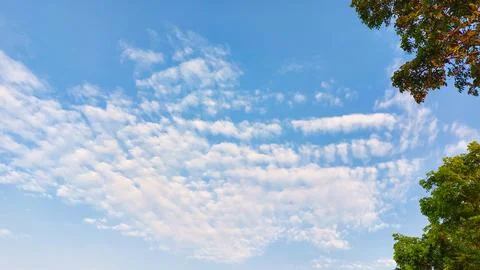 Fluffy white clouds neatly lined up in a bright blue sky. Stock Photos