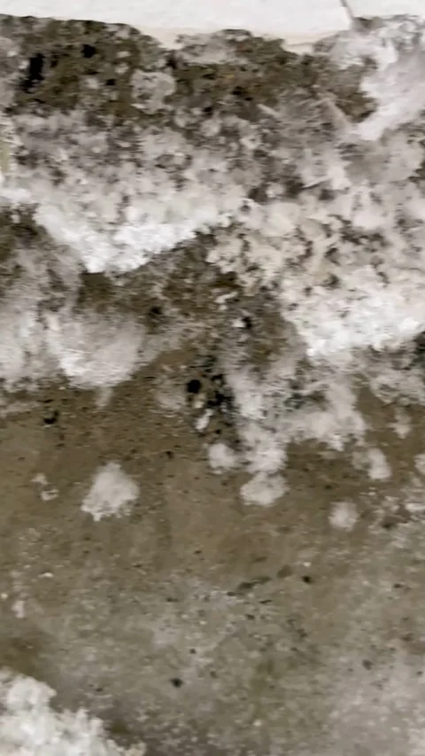 Fluffy white crystals emerging from crack in concrete ceiling Stock Footage 334592807