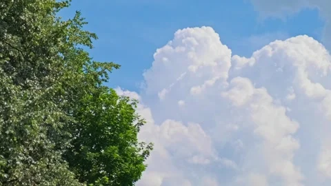 Fluffy white cumulus clouds in a bright blue sky. Beautiful huge clouds fro.. Stock-Footage 339861196