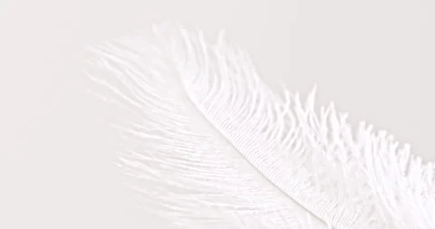 Fluffy white feather texture, on soft background close-up. Stock Footage 328983249