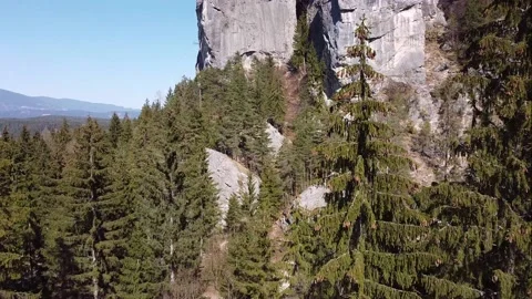 Flug durch Bäume Stock Footage 152241024