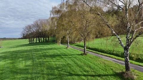 Flug entlang einer Baumreihe im Odenwald Stock Footage 285782222