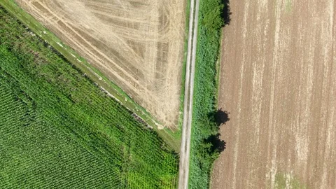 Flug über Felder und einen Feldweg Video stock 285857015