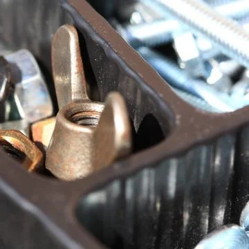 Flügel - Mutter Stock Photos