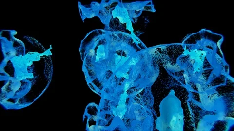 Fluid 8BigLong platch HD noLoop 動画素材 122258023