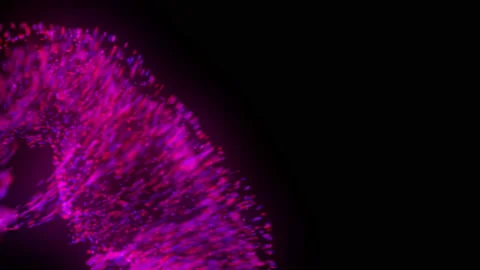 Fluid abstract. Glowing particles, confetti. Shimmering lights Stock Footage 112234291
