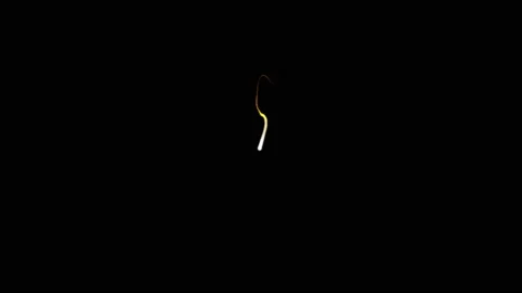 Fluid animation. Slow-motion of collision isolated on black background animation 스톡 동영상 219216127