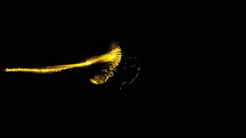 Fluid animation. Slow-motion of collision isolated on black background animation Vídeo Stock 219216146