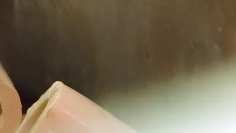 Fluid Artistry Cleansing Air Within a Hydro Filter Stock Footage 337500495