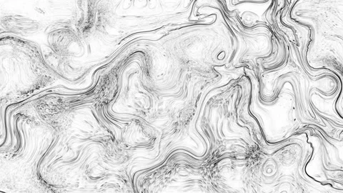 Fluid Black and White Marble Contour Background Stock Footage 341610231