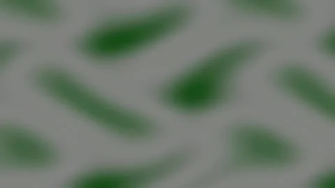 Fluid Blue Green Swirl Gradient Background Motion Abstract Wallpaper Loop Stock Footage 341059037