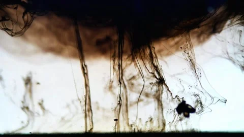 FLUID B&amp;W #2 4K 60FPS H264 Stock Footage 344823140