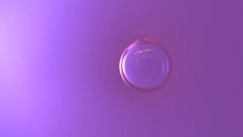 Fluid Drop on violet Water (Macro/Abstract) Video stock 85457431