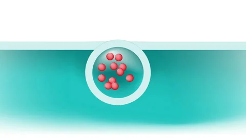 Fluid endocytosis or bulk-phase pinocytosis (cell drinking) Vidéo 130800192