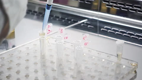 Fluid into an eppendorf. Stock Footage 241105925