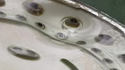 Fluid escaping dirty shower holes close up Stock Footage 332024920