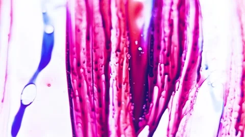 Fluid gradient abstract animation moving background, abstract striped line art Stock Footage 301876589