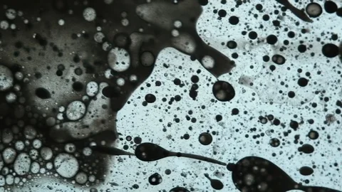 Fluid looks like molecules in macro mode Stock Footage 127236000