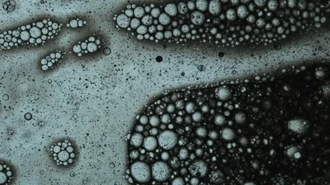 Fluid looks like molecules in macro mode Stock Footage 127241672
