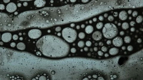 Fluid looks like molecules in macro mode Stock Footage 127241917
