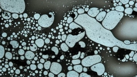Fluid looks like molecules in macro mode Stock Footage