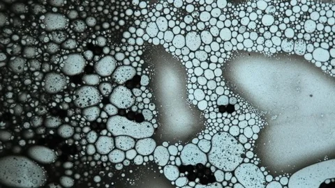 Fluid looks like molecules in macro mode Stock Footage 127242333