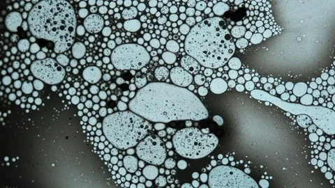 Fluid looks like molecules in macro mode Stock Footage 127242395