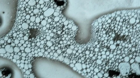 Fluid looks like molecules in macro mode Stock Footage 127242465
