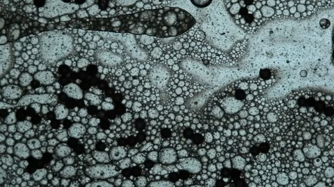 Fluid looks like molecules in macro mode Stock Footage 127242520