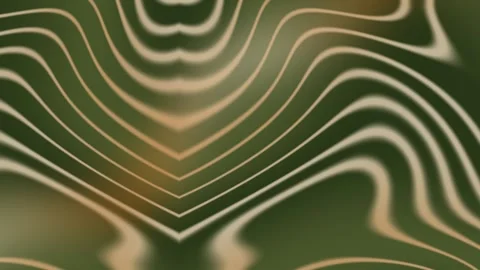 Fluid Marble Vein Organic Motion Graphic Background Stock Footage 344802002