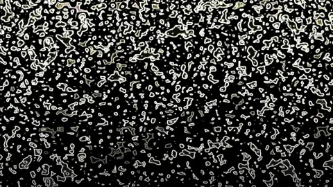 Fluid Medium Blob Animation Background Video Stock Footage 300229493